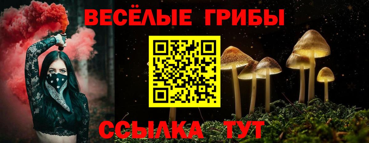 Псилоцибиновые грибы GOLDEN TEACHER  Вход с VPN  Шатура 